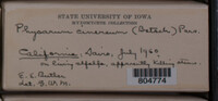 Image Associated With the Occurence